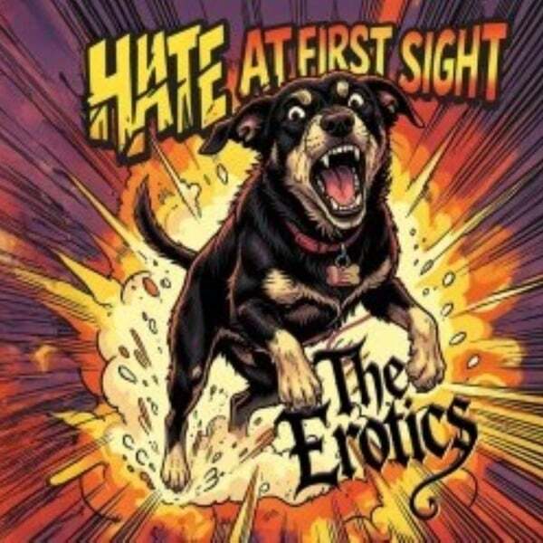 Cover art for Hate at First Sight